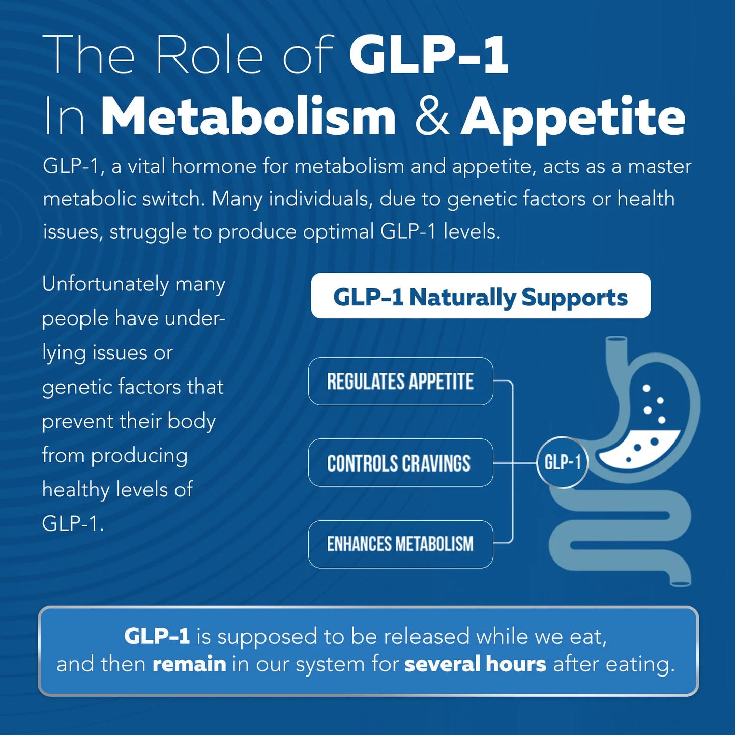 GLP-Activate: Natural GLP-1 Support